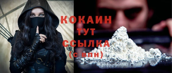 трава Богородицк