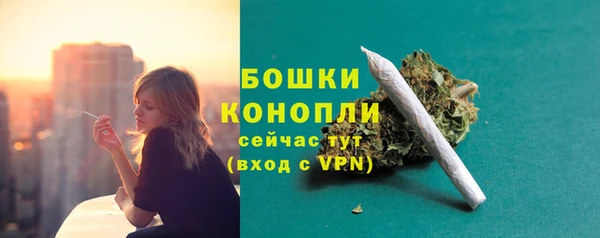 трава Богородицк